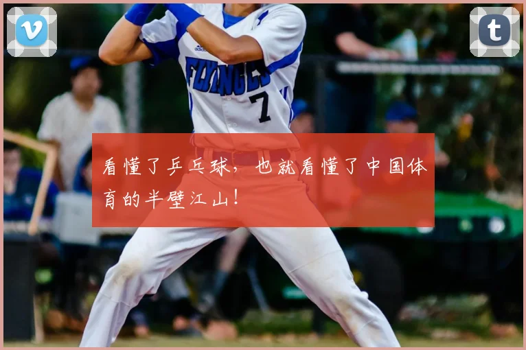 看懂了乒乓球，也就看懂了中国体育的半壁江山！