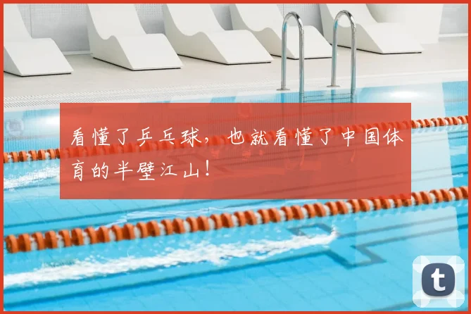看懂了乒乓球，也就看懂了中国体育的半壁江山！
