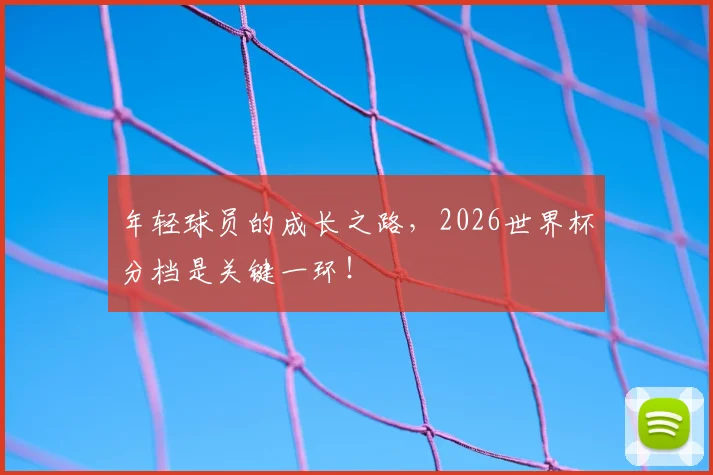 年轻球员的成长之路，2026世界杯分档是关键一环！