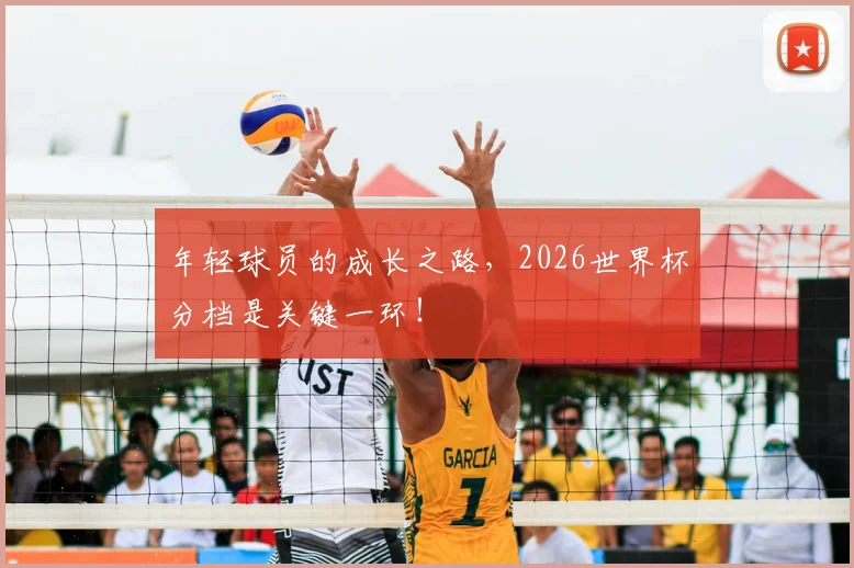 年轻球员的成长之路，2026世界杯分档是关键一环！